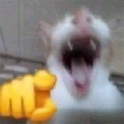 cat4