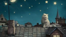 138682-luna-kotenok-arhitektura-oblako-krysha-1920x1080.jpg