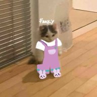 Fakky